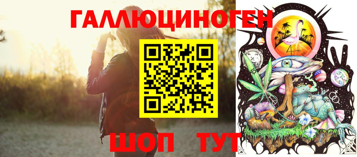Галлюциногенные грибы Psilocybine cubensis Назрань