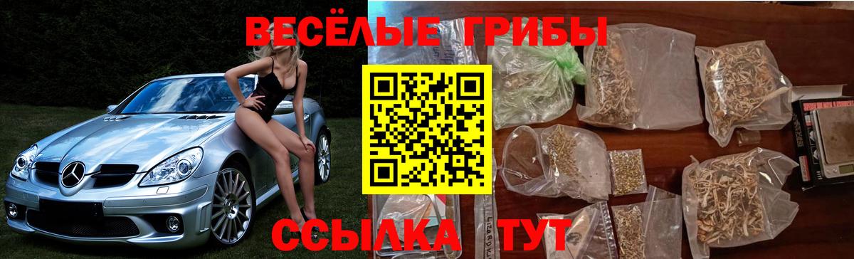 Назрань  где продают наркотики  Вход с VPN  Псилоцибиновые грибы ЛСД  Псилоцибиновые грибы мухоморы 
